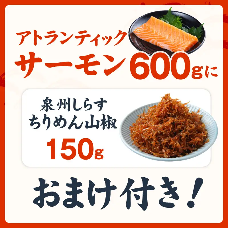 アトランティックサーモン 600g+おまけちりめん山椒150g