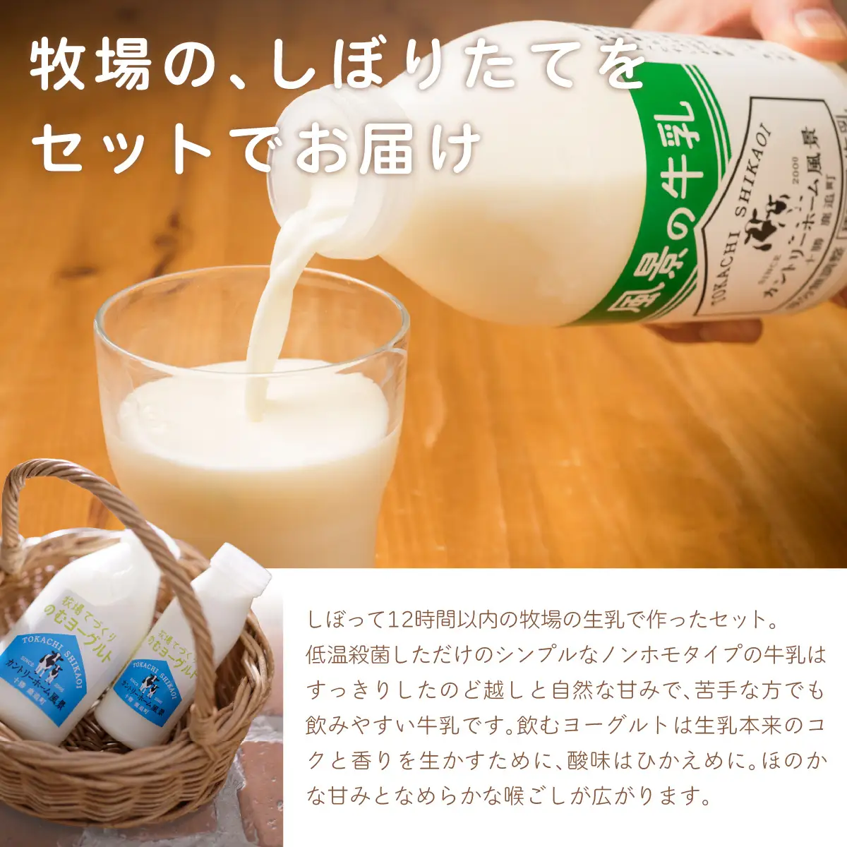 【定期12ヶ月】のむヨーグルト500g 風景の牛乳500ml 各3本 SKB110