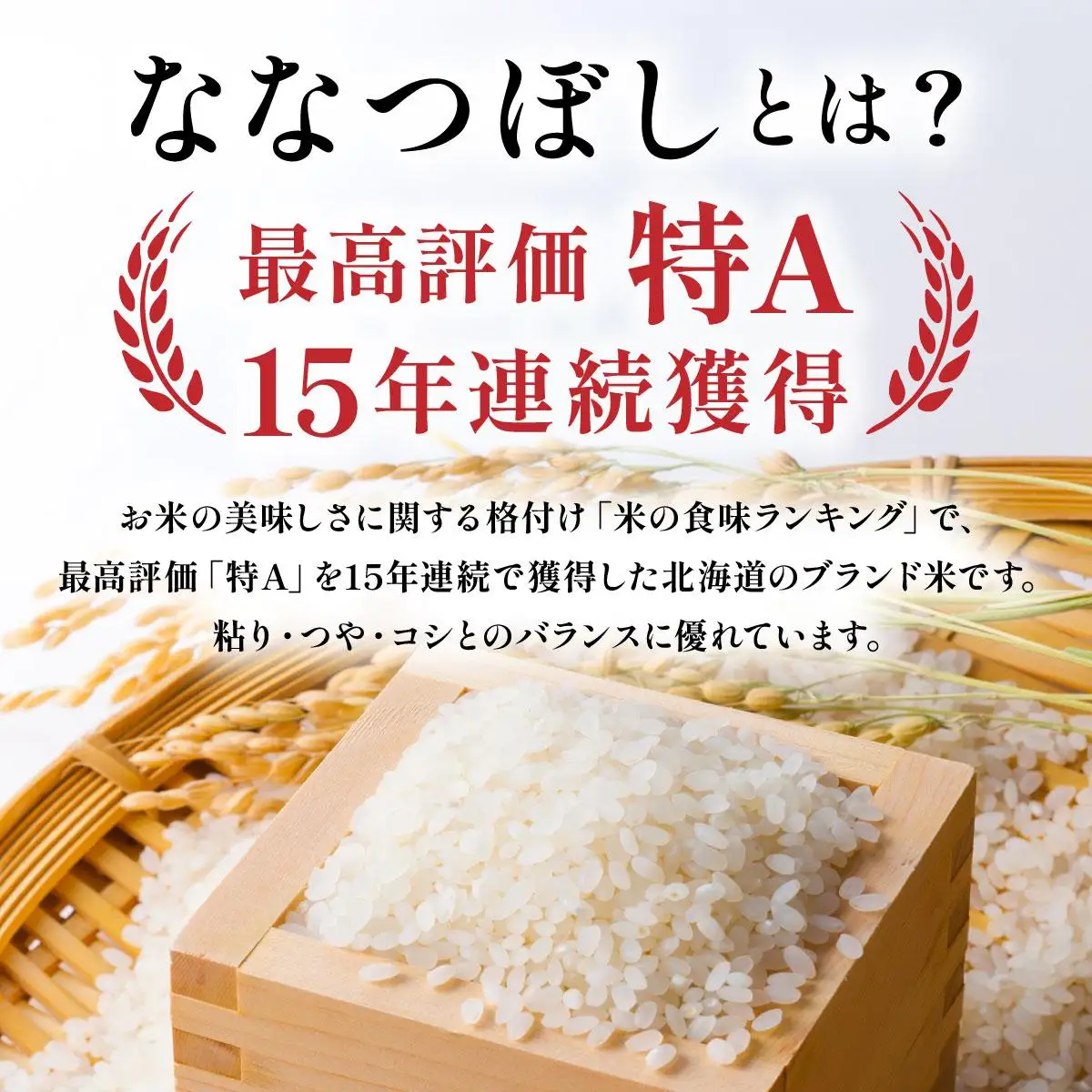 令和7年産 岩見沢産 ななつぼし 5kg 精米【a161-002】