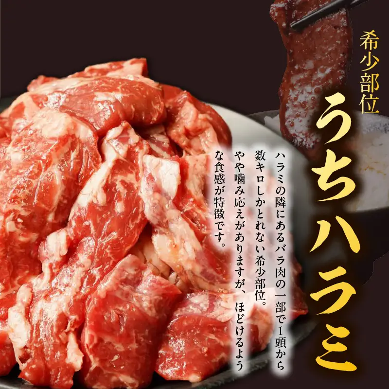【氷温熟成×特製ダレ】希少部位 牛肉 うちハラミ 2kg（400g×5）