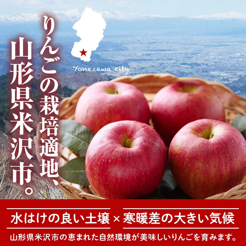 先行予約 令和8年産 訳あり りんご 品種 お任せ 約5kg りんご