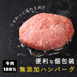 化学調味料保存料不使用無添加 牛肉100％ ハンバーグ 120g×10個セット