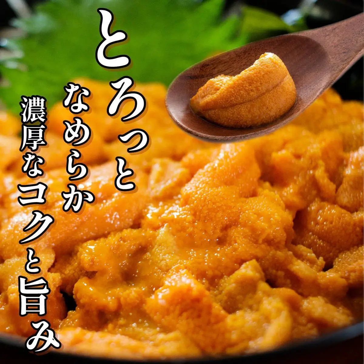無添加 昆布仕立ての生うに 50g×4P 