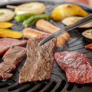 備中牛 和牛モモ・バラ焼肉 500g 農林水産大臣賞受賞 岡山県産 黒毛 和牛 肉 お肉 牛肉 牛