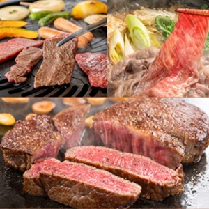 備中牛 定期便3回（ロースステーキ1kg・すき焼用スライス1kg・モモバラ焼肉1kg ）合計3kg 農林水産大臣賞受賞 岡山県産 黒毛 和牛 肉 お肉 牛肉 牛