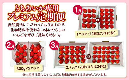 【定期便3ヶ月】とちあいか専用 プレミアム定期便 ｜ とちあいか イチゴ 苺 栃木県 果物 フルーツ 栃木県 壬生町 産地直送 ※2027年1月頃より順次発送予定 ※離島への配送不可