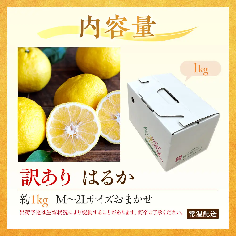 訳あり はるか 1kg M～2Lサイズおまかせ 高石垣ファーム