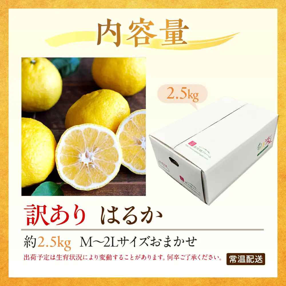 訳あり はるか 2.5kg M～2Lサイズおまかせ 高石垣ファーム