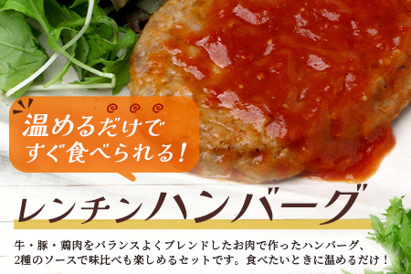 レンチン ハンバーグ ≪トマトソース・ブラウンシチューソース≫ 合計10個 067-0708