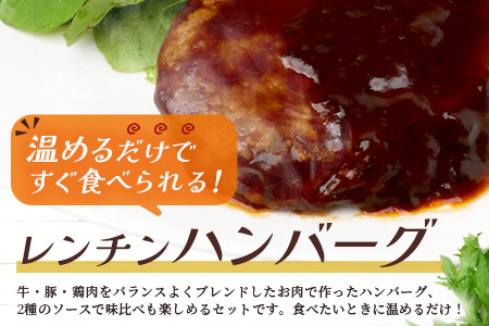 レンチン ハンバーグ ≪ホワイトソース・ブラウンシチューソース≫ 合計10個 067-0710