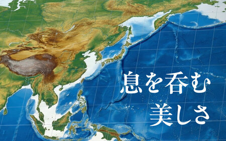 日本語版 大型世界地図『WORLD MAP OWNER'S』アルミフレーム Mサイズ 世界地図 インテリア 大型 オフィス【株式会社ダイケン】[AYDT001]