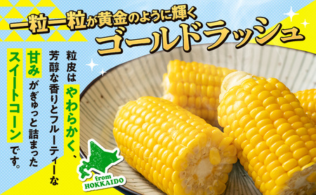 【先行受付】R8年産 トウモロコシ（ゴールドラッシュ） 10本から12本 ピンクの八百屋 ナツやさい | とうもろこし トウモロコシ ゴールドラッシュ 旬 新鮮 野菜 夏 甘い 産地直送 北海道 津別町 送料無料 