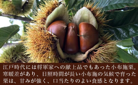  自家農園100％小布施栗マロンペースト 160g × 2 ［ おぶせファーマーズ ］長野県 信州 小布施町 お取り寄せ［FH-87］