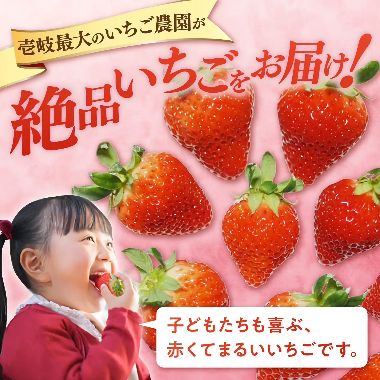 【先行予約】ゆめのか 250g × 2パック【2027年1月以降順次発送】 [JEM005] いちご 苺
