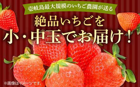 【先行予約】【ジャム用】ゆめのか 1kg 【2027年1月以降順次発送】[JEM007] いちご 苺