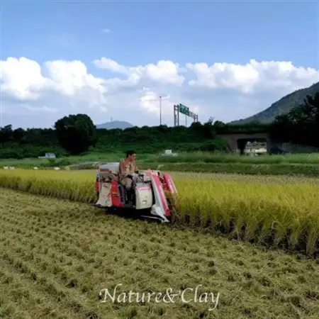 NATURE＆CLAY【残留農薬0】シロヤマクレイ米(精米)1kg【1706077】