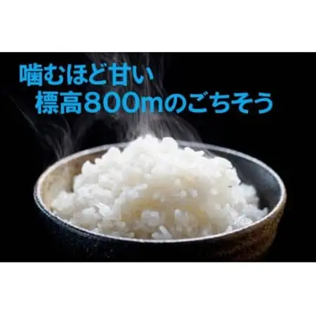 【令和7年産】信州八ヶ岳山麗 長野県産コシヒカリ 精米5kg(5kg×1袋)【1719506】