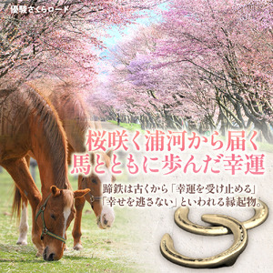 北海道浦河町産『蹄鉄アレンジメント』[50-1576]
