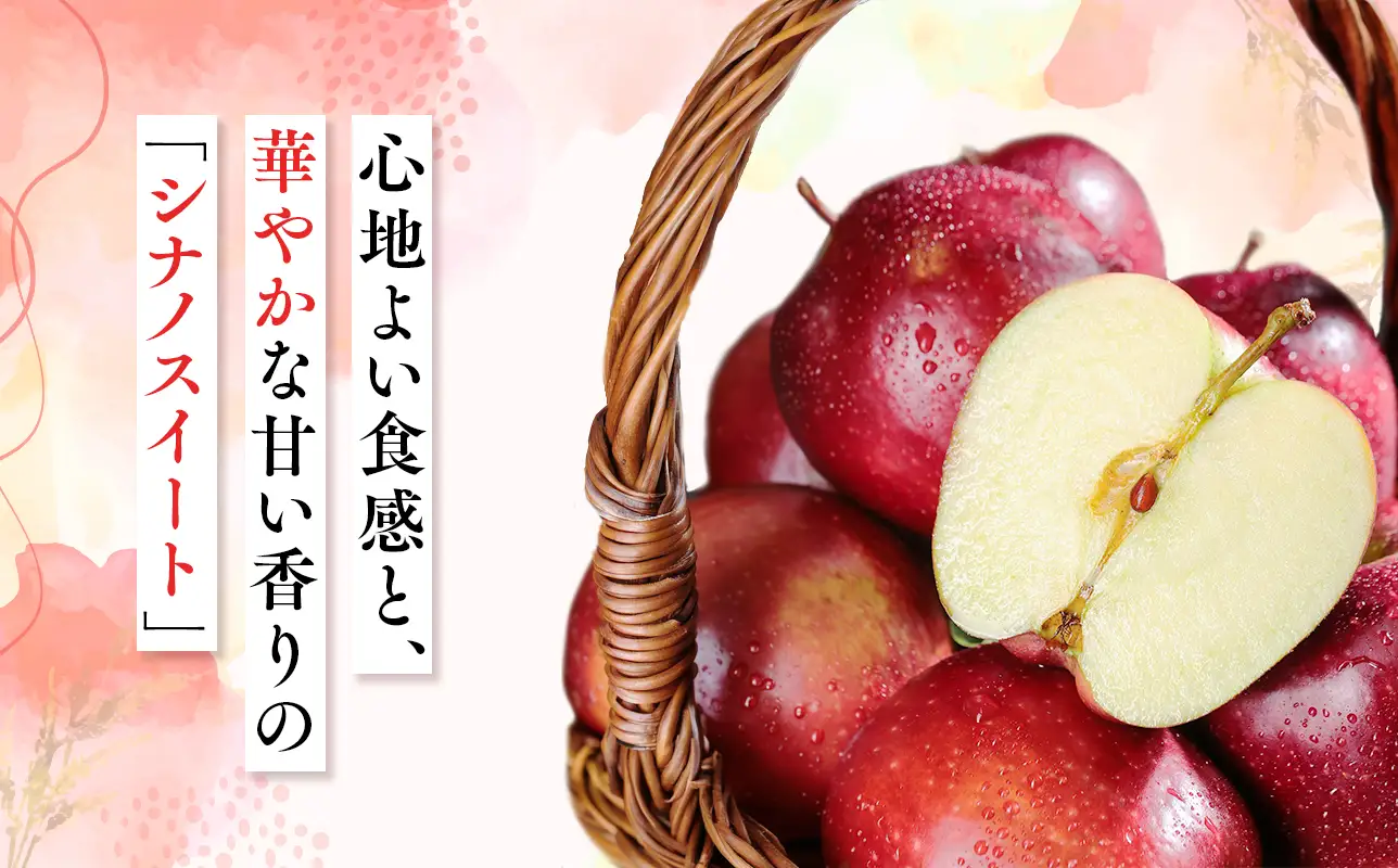 2026年10月発送　【訳あり】家庭用シナノスイート 約2kg【原田農園】 家庭用 青森 青森県産 平川 りんご リンゴ 林檎 くだもの 果物 フルーツ［hi-0068-005］ 