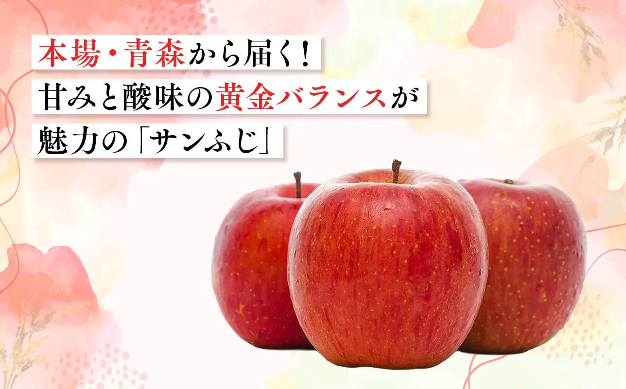 2026年11月～12月発送　贈答用サンふじ 約2kg【原田農園】 ［hi-0068-008］ 