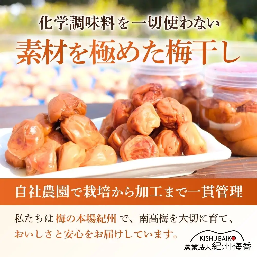 無添加梅干し ひょう被害エール規格外はちみつ梅干し 1kg（500gパックx2個）塩分6% 甘酸っぱい 蜂蜜漬け 6-HYO baiko016［KU12］【baiko016】