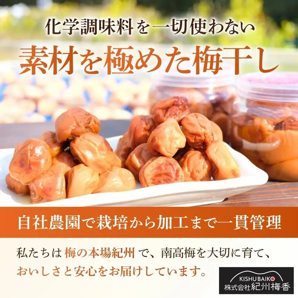 無添加梅干し ひょう被害エール規格外昔ながらの梅干し 塩のみで漬けたすっぱい梅干し 1kg（500gパックx2個）塩分20% 20-HYO baiko017 ［KU13］【baiko017】