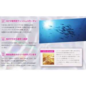 コラーゲン10000 50mL×10本入り 2セット