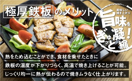 【AZUMOA -outdoor & camping-】 極厚鉄板（SS400浅型） 厚さ6ｍｍ / バーベキュー 肉 キャンプ アウトドア [Q1703xch]