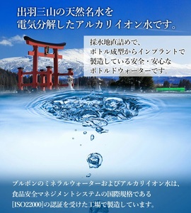 ブルボン イオン水 2L ペットボトル(6本入)×2ケース 　| アルカリイオン水 山形県 鶴岡市 山形 ふるさと納税 返礼品 支援品 天然水 お水 水 飲料水 ウォーター ウオーター 2L ペットボトル 飲料 飲み物 みず お取り寄せ