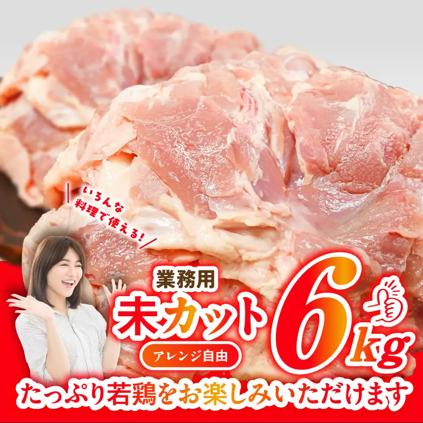 【業務用】国産若鶏もも肉6kg≪みやこんじょ特急便≫_19-33-004-6kg-Q