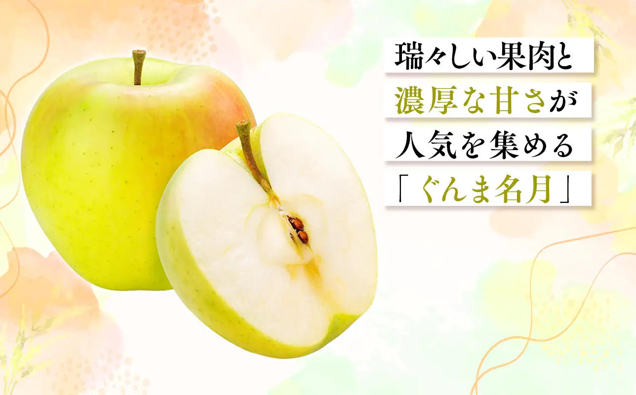 2026年11月～12月発送　【訳あり】家庭用ぐんま名月 約2kg【原田農園】 家庭用 青森 青森県産 平川 りんご リンゴ 林檎 くだもの 果物 フルーツ ［hi-0068-020］