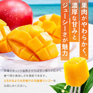 「2026夏発送」★厳選★ 完熟 与論島マンゴー ２kg（5～6個）【数量限定】【産地直送】【先行予約】