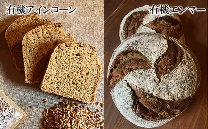 薪窯パン 有機古代小麦を使用したパン 6種詰め合せ VERUM プレミアムセット 【 農家パン VERUM 】 ／ パン ぱん ブレッド ベーカリー 古代小麦 薪窯 薪窯焼き 薪窯焼 石窯パン 石窯 卵不使用 乳製品不使用 乳不使用 自家製発酵種 国産 素材にこだわった 手づくり 手作り こだわり 冷蔵 冷蔵便 東北 岩手県 八幡平市 はちまんたい おすすめ