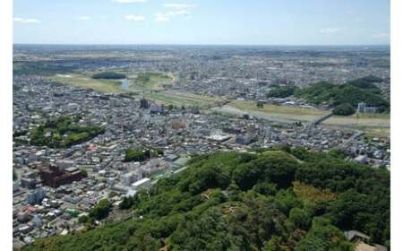 【返礼品なし】栃木県足利市応援寄附金 10,000円  F7Z-B010