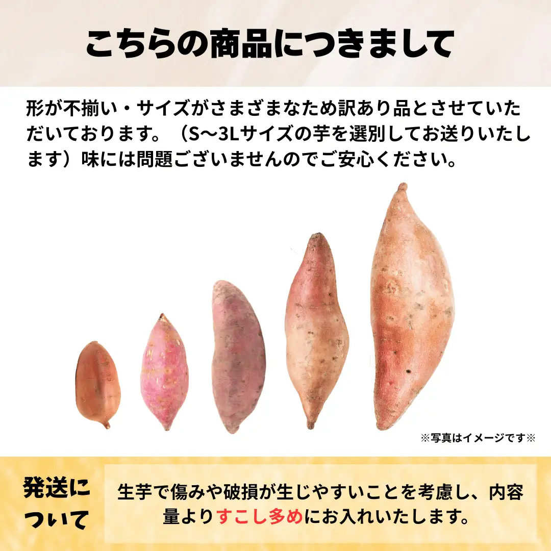 【先行受付】秋田県井川町産　訳あり　紅はるか（生芋）12kg