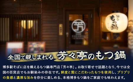 もつ鍋 味噌味 セット ちゃんぽん麵 芳々亭 2～3人前 地域商社ふるさぽ《90日以内に出荷予定(土日祝除く)》福岡県 鞍手町 もつ 鍋 牛モツ 味噌 国産牛もつ100％使用 ラー麦