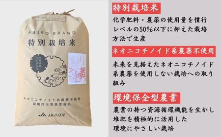 P17　玄米 30Kg コシヒカリ「 みかたの舞 」 特別栽培米 【 こしひかり コシヒカリ 特別栽培米 お米 米 玄米 白米 精米 ブランド米 30キロ 兵庫県産 兵庫県 ジャパンフードセレクション 最高賞 グランプリ 】