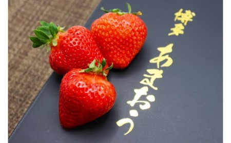 【2026年12月発送】博多あまおうEX　贈答化粧箱450g×2箱[H2248]