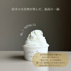 イタリアンジェラート１２個セット アイス アイスクリーム イタリアン ジェラート ミルク チョコレート ピスタチオ ヘーゼルナッツ 詰め合わせ 岩手県 北上市 E0314 ジェラテリア イト スイーツ おしゃれ 湯田牛乳使用