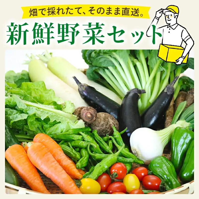 【野菜】新鮮野菜セット ( 7～9品 )