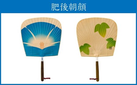 来民うちわ 肥後六花 「 肥後朝顔 」 うちわ 伝統工芸 縁起物 防虫効果 伝統技法 雑貨 生活雑貨