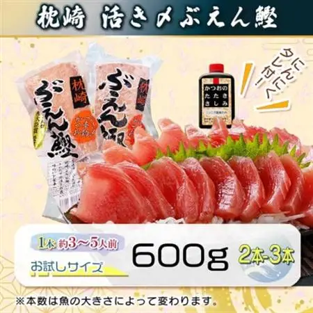 枕崎ぶえんかつお(活き〆血合抜き刺身)　600g A0-79【配送不可地域：離島】【1720214】