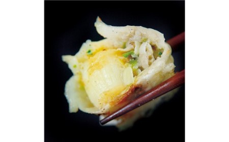 【山八】まるごとほたて餃子[H4313]