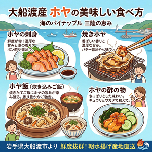 大船渡産 冷蔵 活 ホヤ 5個 [下処理あり] 産地直送 