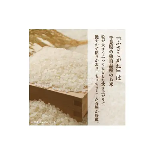 令和7年産 ふさこがね 精米 10kg （ 5kg × 2 ）千葉県 匝瑳市 ／ 米 こめ コメ お米 ごはん ご飯 精米 白米 10kg 5kg ふさこがね 令和7年産 JA 農協 ちばみどり ちばみどり農業協同組合 千葉県 匝瑳市 送料無料