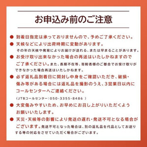 タカミメロン　2玉（2.5kg前後）　1箱　【※2026年7月上旬～中旬配送】　