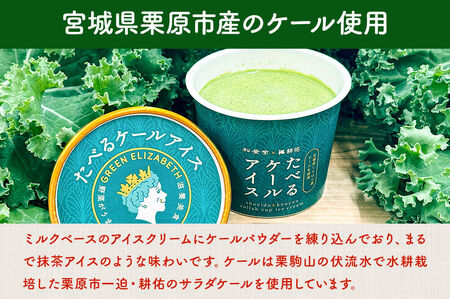 アイスクリーム たべるケールアイス 90ml 6個 入り