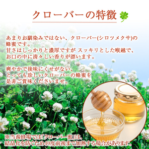 【 国産純粋はちみつ 】 クローバー 蜂蜜 520g × 1本 ／ シロツメクサ しろつめくさ クローバー蜜 くろーばー はちみつ ハチミツ ハチ蜜 ハニー 国産 国内産 日本産 岩手県産 八幡平市産 家庭用 自家用 プレゼント ボトル 長期保存 産地直送 おすすめ【八幡平高橋養蜂】
