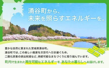 涌谷町CO2フリーでんき 6,000円×6ヶ月コース【※※お申込み前に申込条件を必ずご確認ください】 東北電力 電気 電力 東北 電気代 電気料金 青森県 岩手県 宮城県 秋田県 山形県 福島県 新潟県 でんき【ens003】