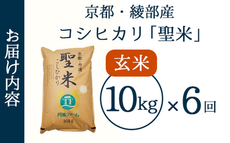 【定期便6回】 聖米(玄米) 10kg×6回 | 米 お米 こしひかり 玄米